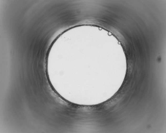 X0000089850950200707262105