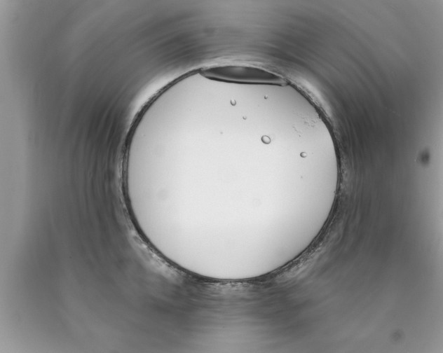 X0000089850952200707262105