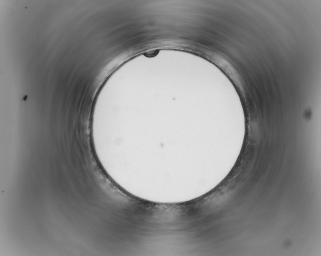 X0000089850954200707262105