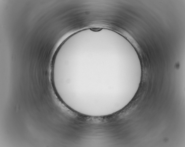 X0000089850955200707262105