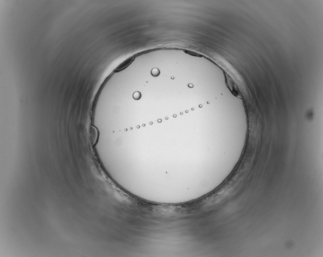 X0000089850956200707262105