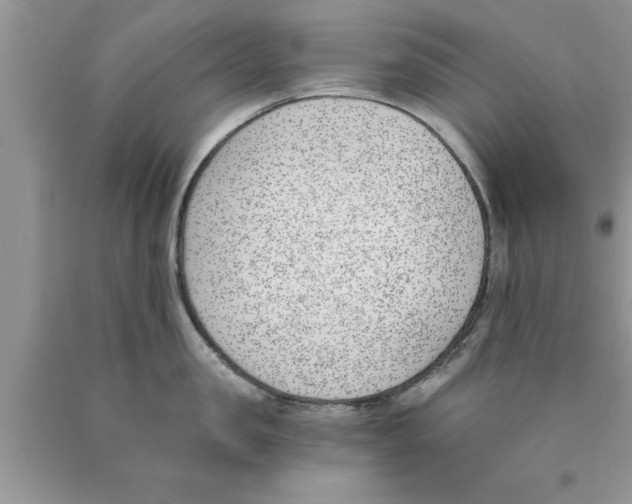 X0000089850957200707262105