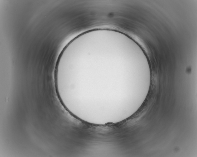 X0000089850959200707262105