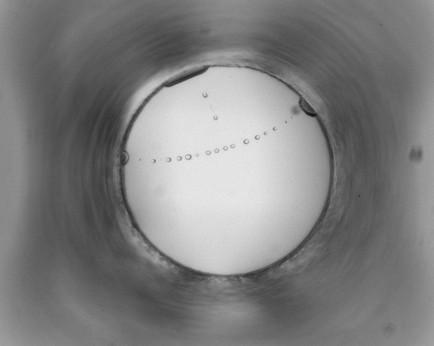 X0000089850960200707262105