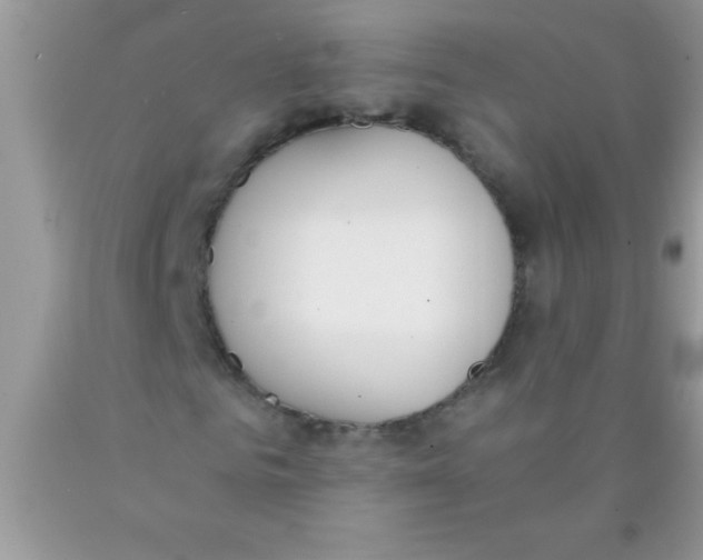 X0000089850961200707262104