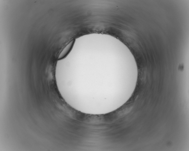 X0000089850962200707262104