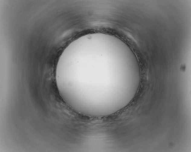 X0000089850965200707262104