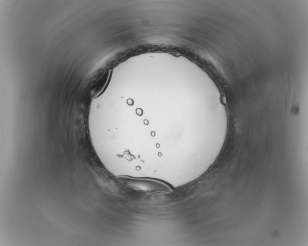 X0000089850968200707262104