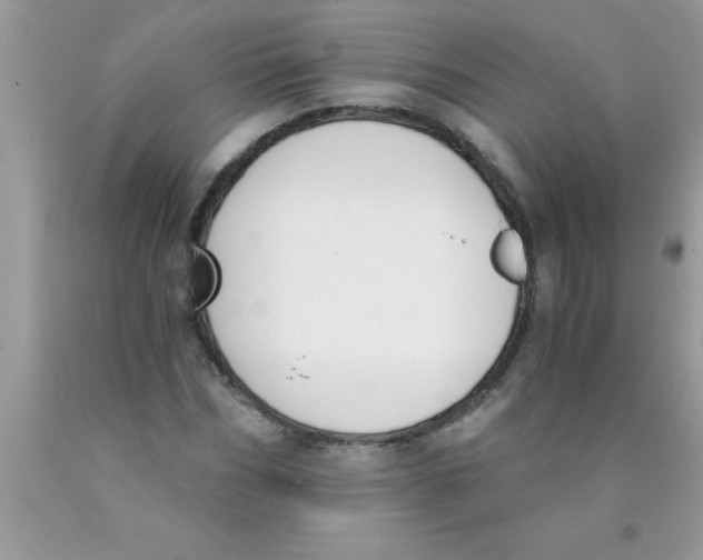 X0000089850970200707262104