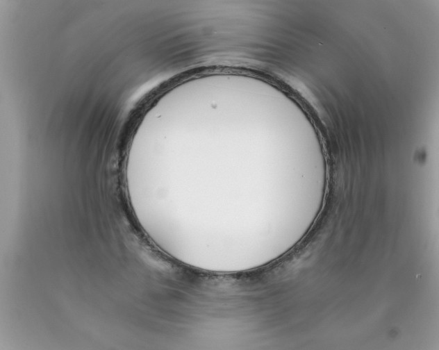 X0000089850971200707262104