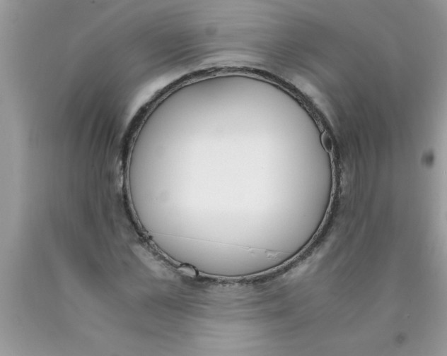 X0000089850973200707262104