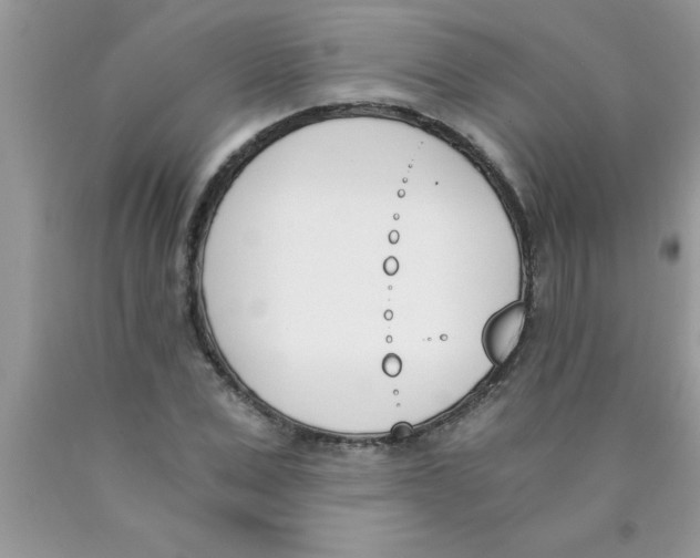 X0000089850975200707262104