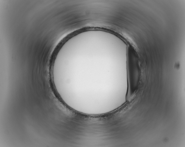 X0000089850976200707262104