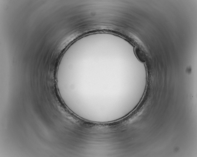 X0000089850977200707262104