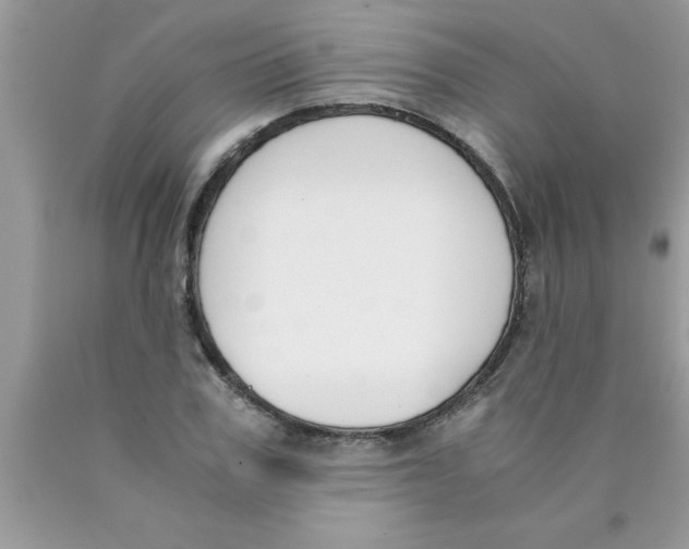 X0000089850979200707262104