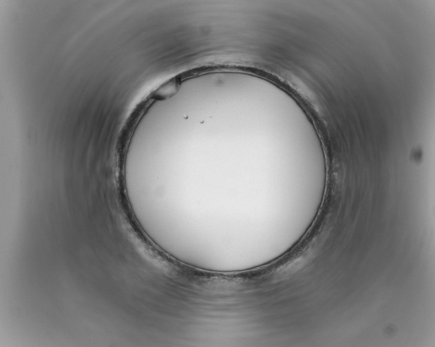 X0000089850981200707262104