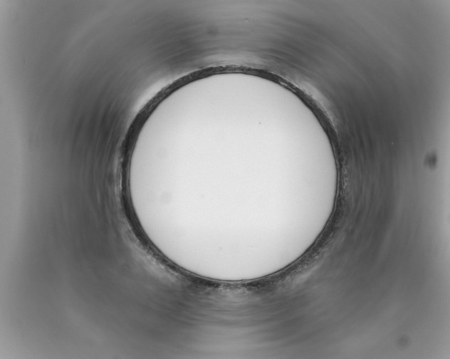 X0000089850983200707262104