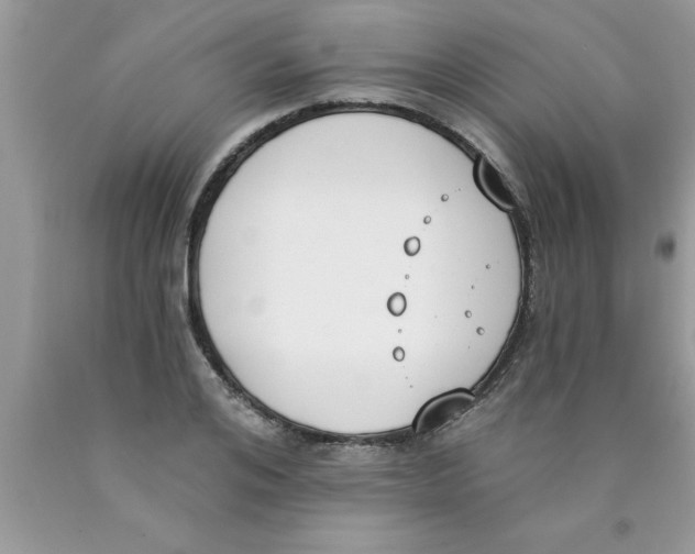 X0000089850984200707262104