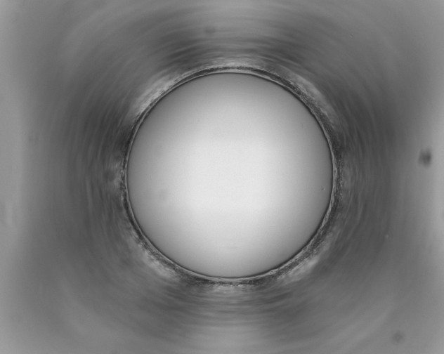 X0000089850985200707262104