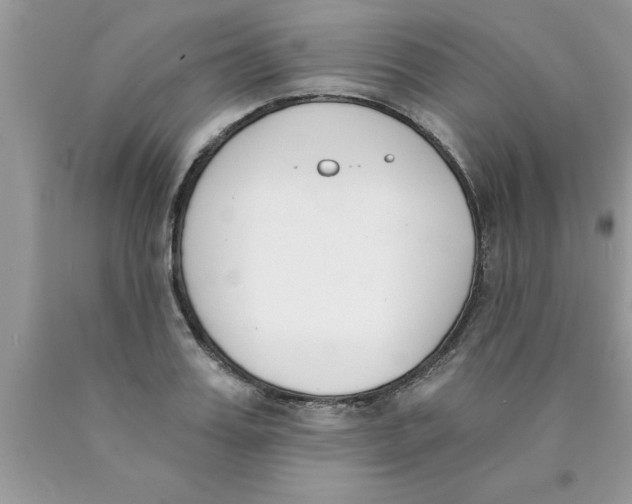 X0000089850987200707262104