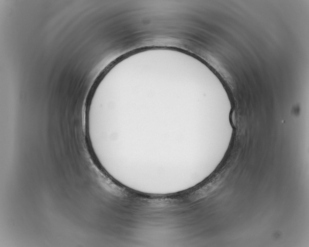 X0000089850988200707262104