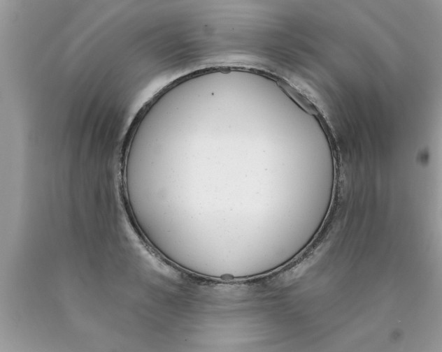 X0000089850989200707262104