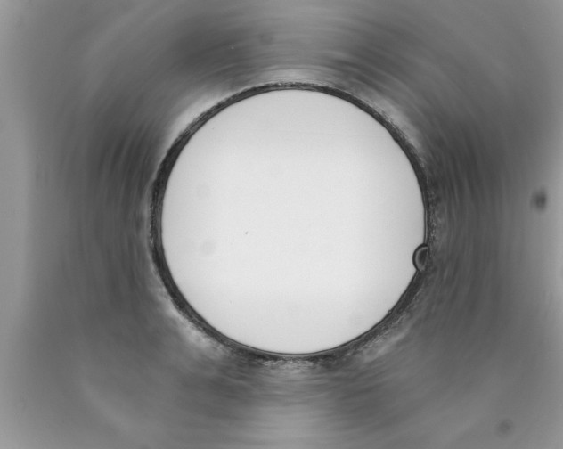 X0000089850991200707262104