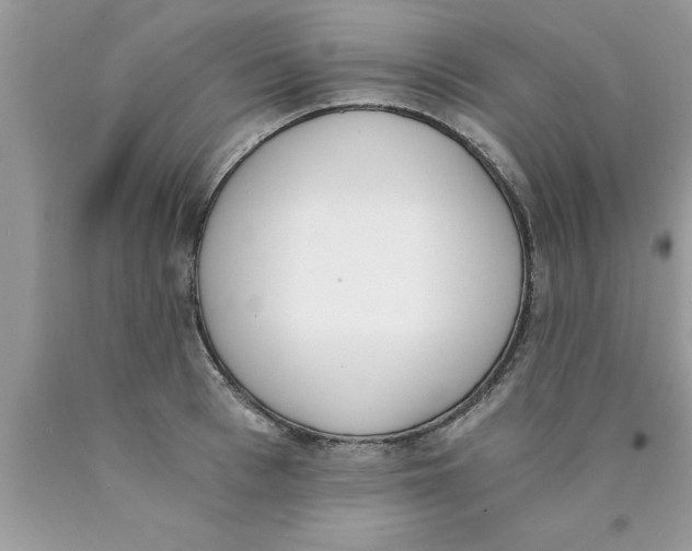 X0000089850993200707262104