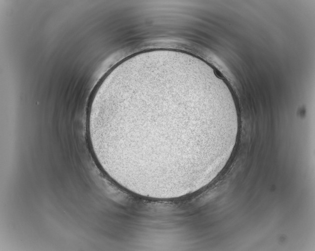 X0000089850994200707262104