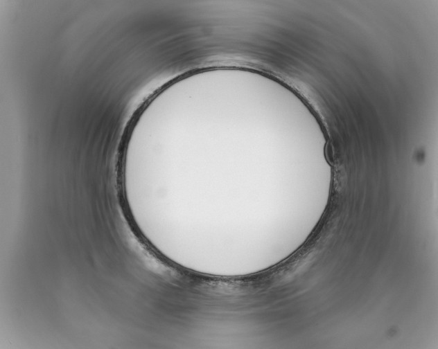 X0000089850995200707262104