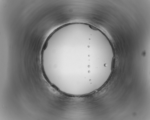 X0000089850996200707262104