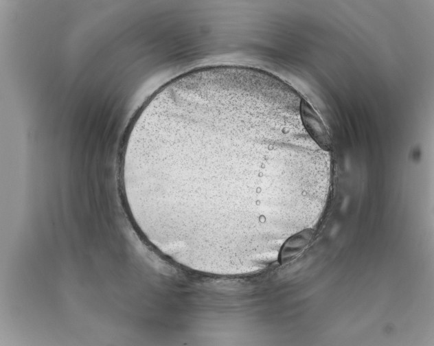 X0000089850998200707262104