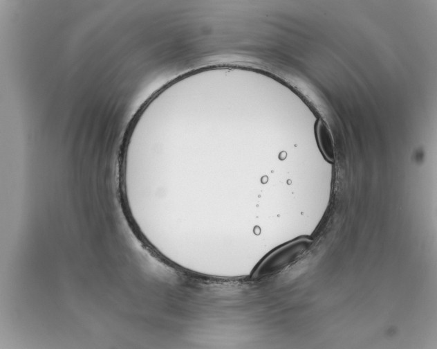 X0000089850999200707262104