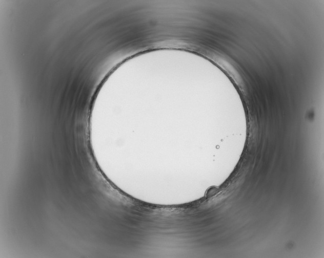 X0000089851000200707262104