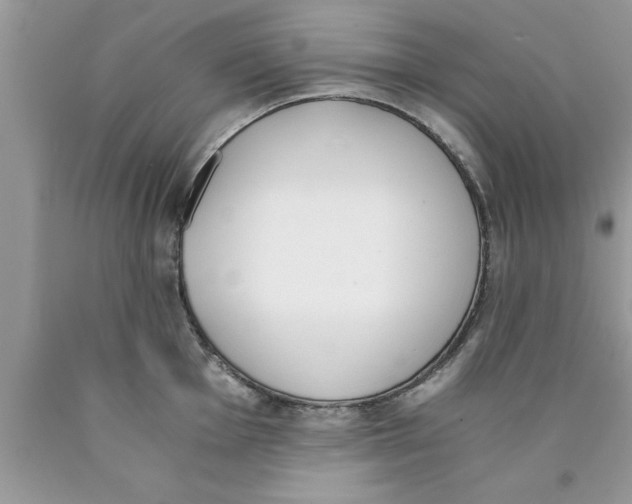 X0000089851001200707262104