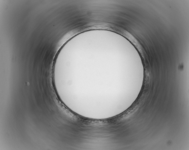 X0000089851002200707262104