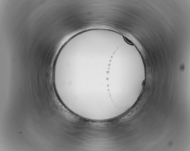 X0000089851004200707262104