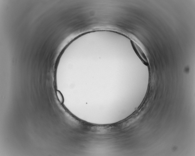 X0000089851005200707262104