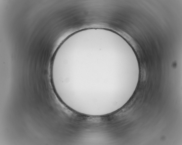 X0000089851006200707262104