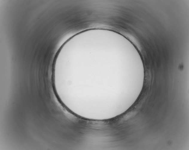 X0000089851007200707262104