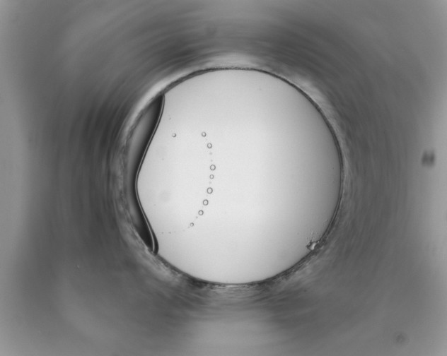 X0000089851008200707262104