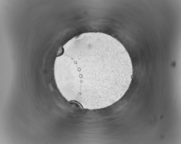 X0000089851009200707262103