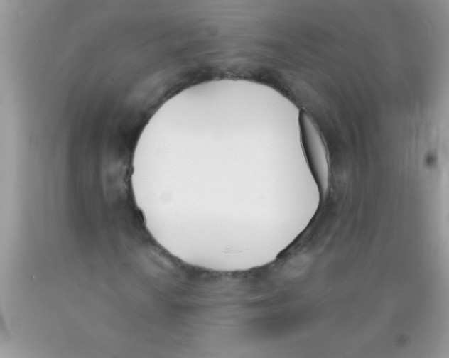 X0000089851010200707262103