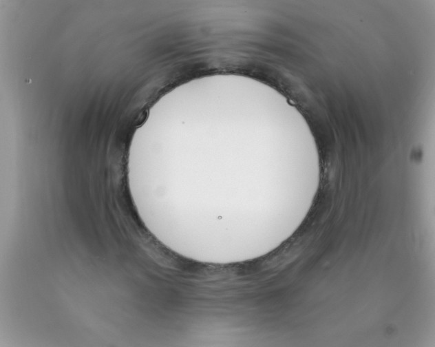 X0000089851012200707262103