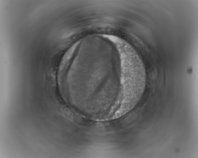 X0000089851013200707262103