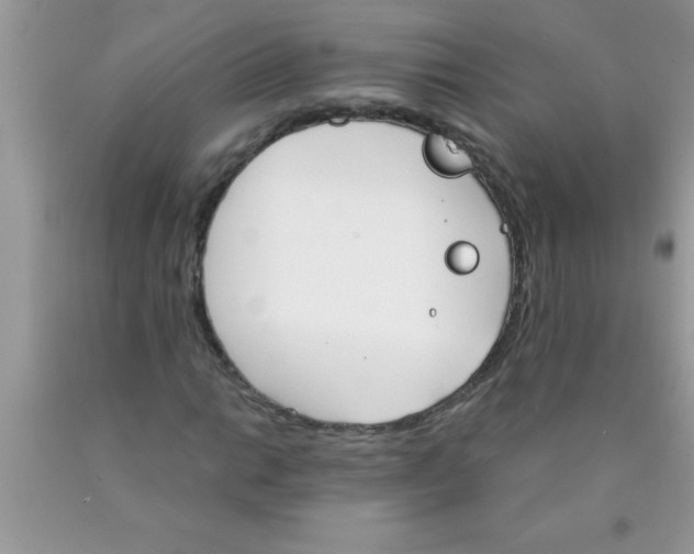 X0000089851014200707262103