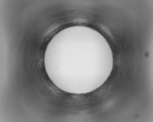 X0000089851015200707262103