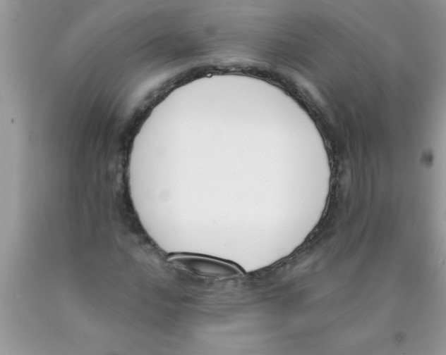 X0000089851016200707262103