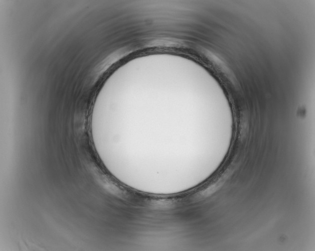 X0000089851017200707262103