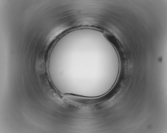 X0000089851018200707262103